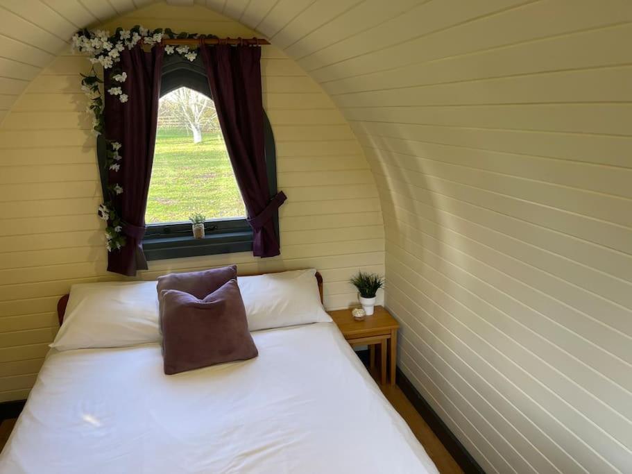Belle Vista Glamping & Camping Йорк Экстерьер фото