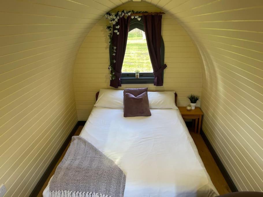 Belle Vista Glamping & Camping Йорк Экстерьер фото
